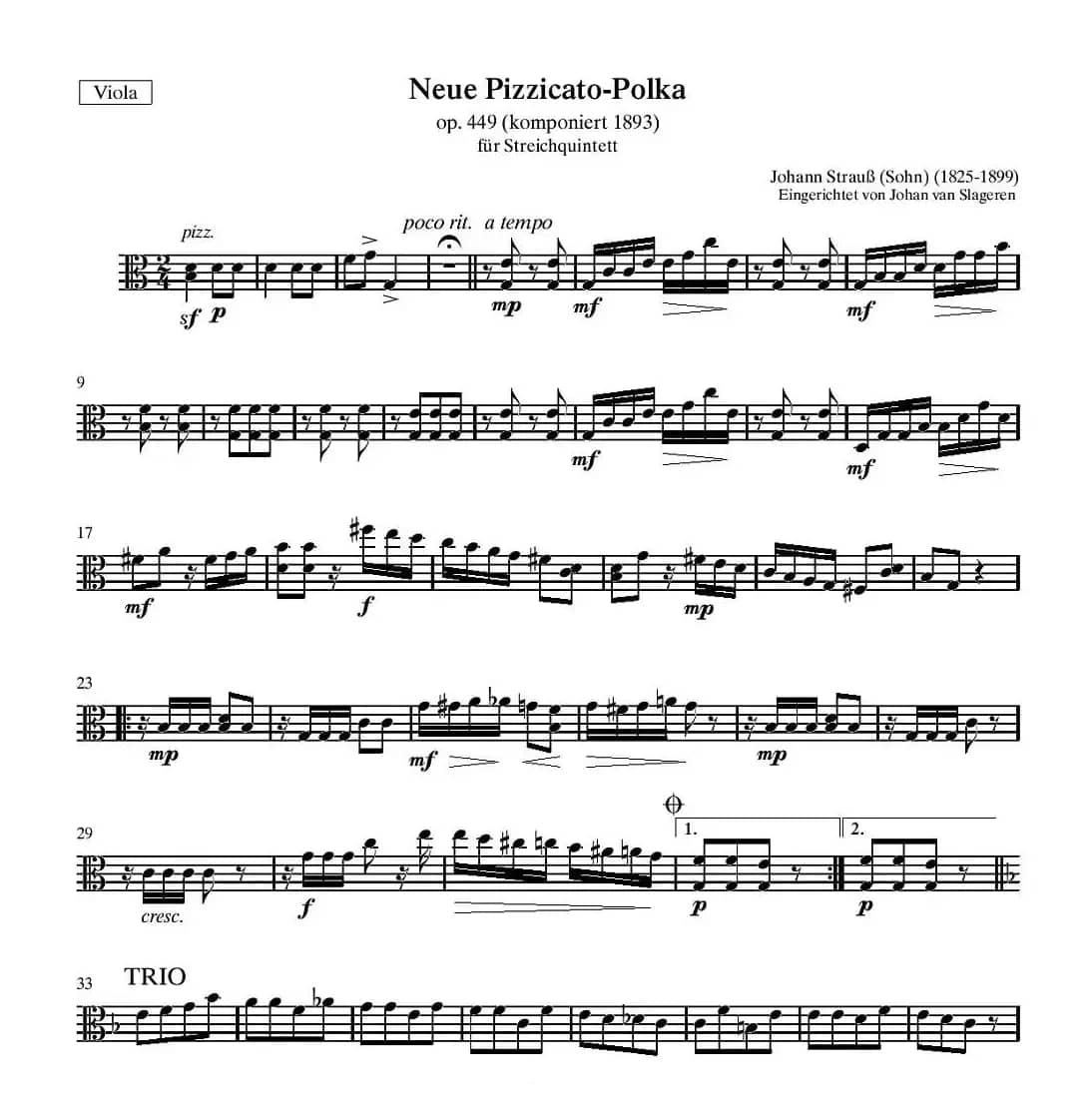 新拨弦波尔卡（弦乐四重奏分谱）