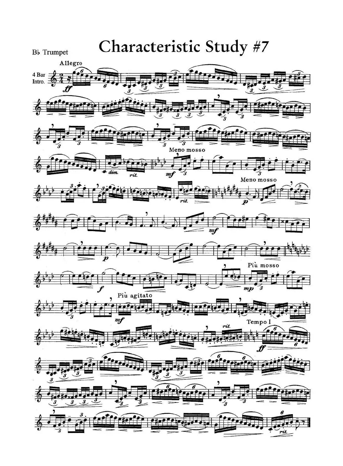 Characteristic Study #7 （小号）