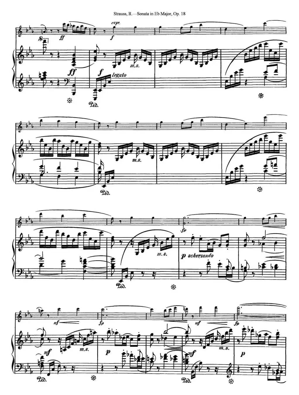 Violin Sonata in Eb Major Op.18（小提琴+钢琴伴奏）