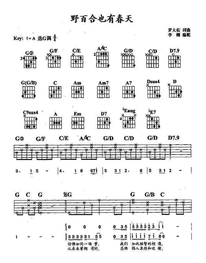 野百合也有春天（李刚编配版）