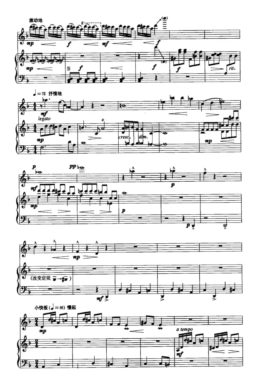 狂韵（二胡+古筝）