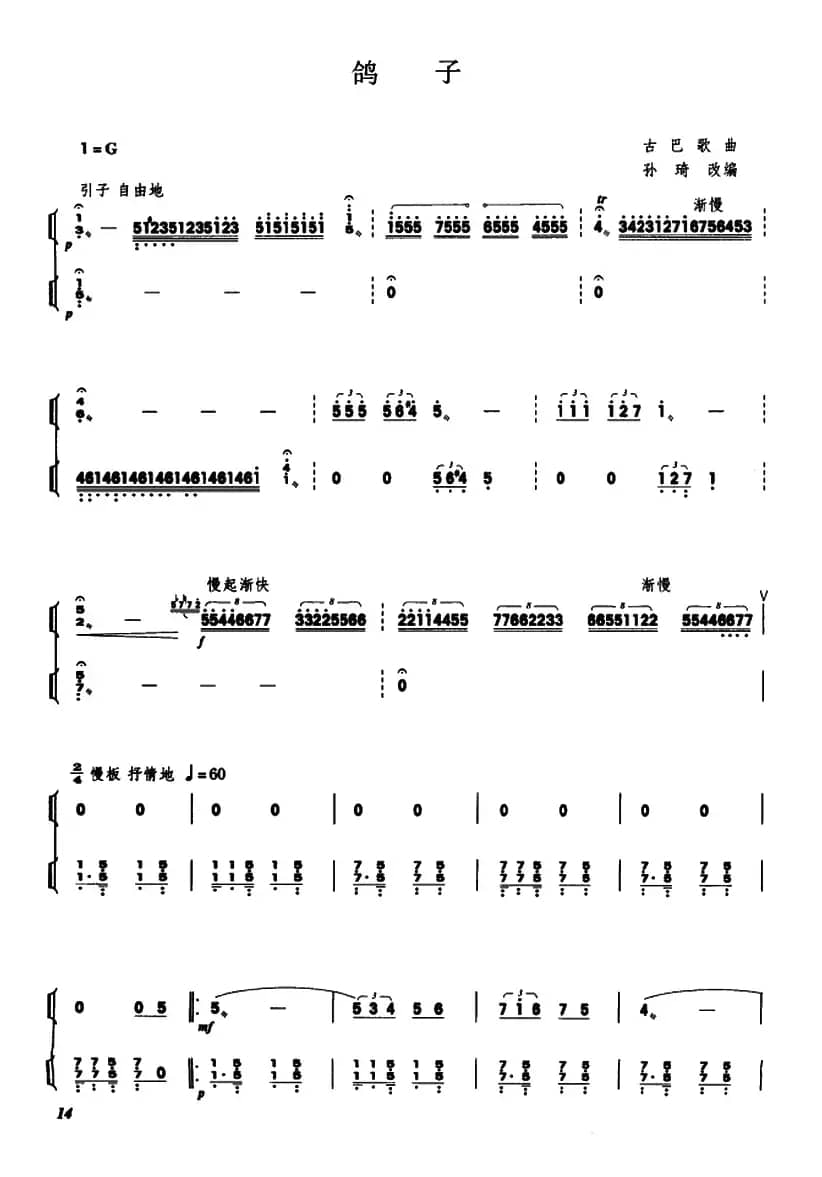 鸽子（扬琴二重奏）
