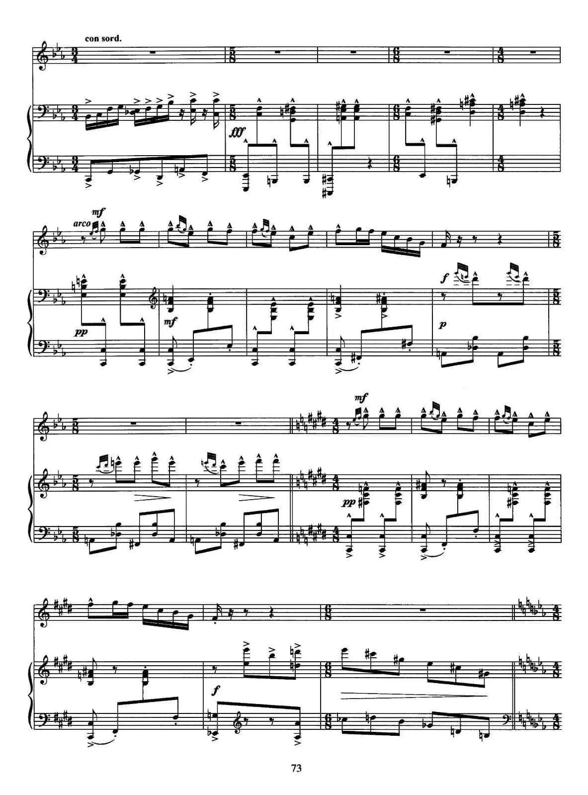 小提琴与钢琴奏鸣曲