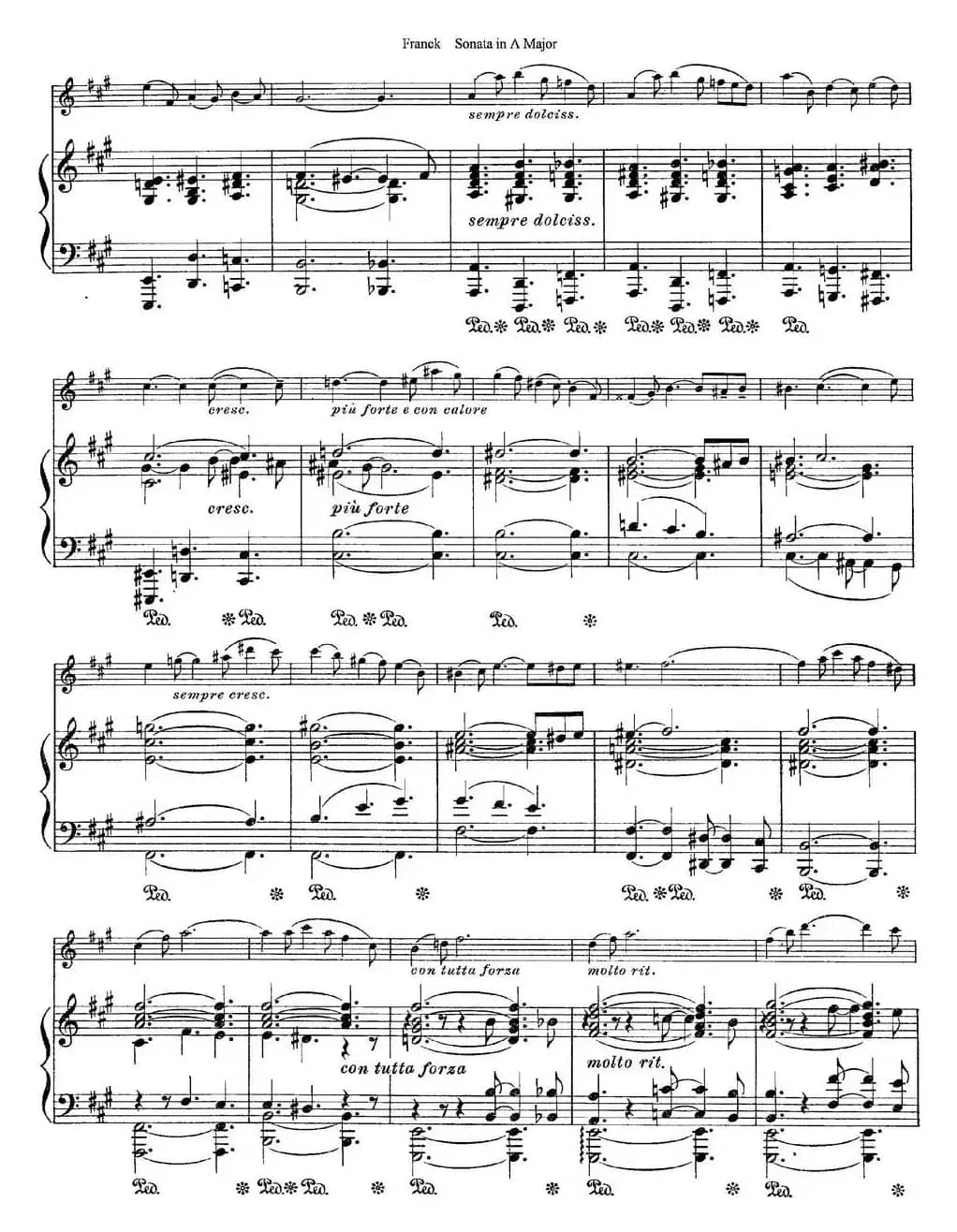 Franck Sonata in A Major（小提琴+钢琴伴奏）