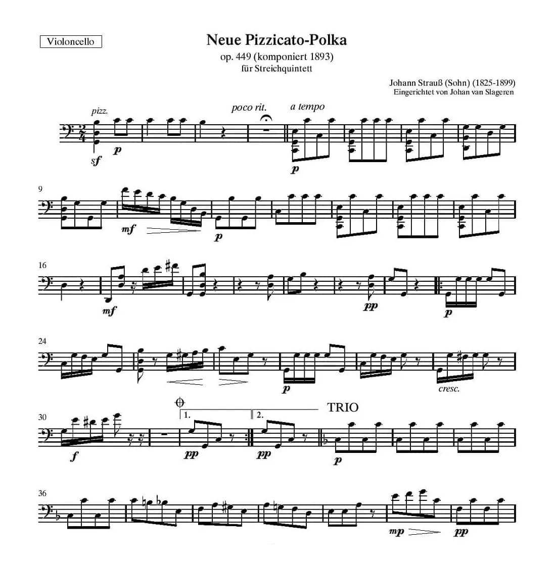 新拨弦波尔卡（弦乐四重奏分谱）