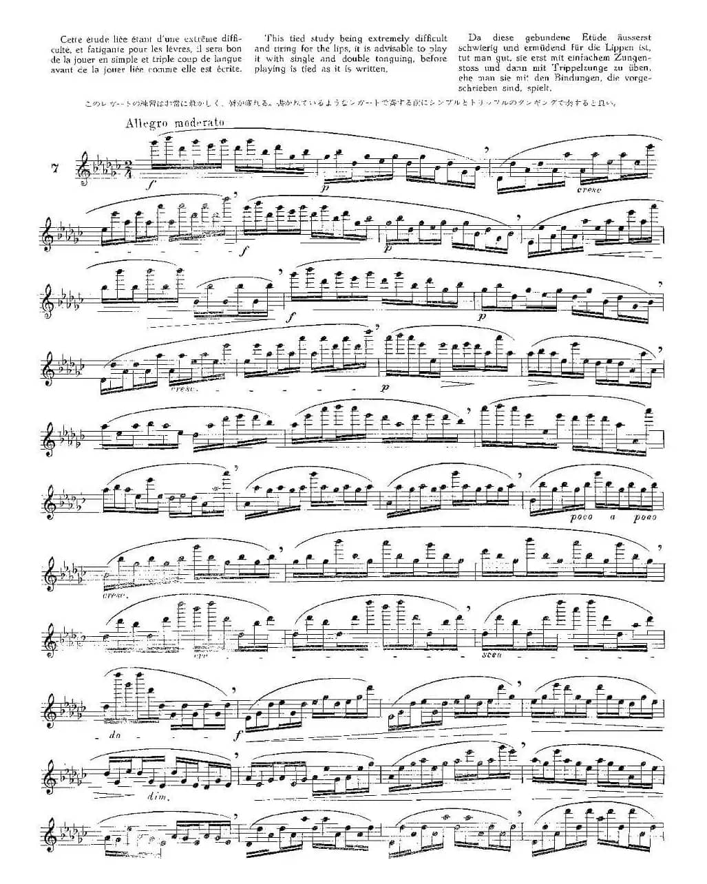 12首大技巧练习曲之7