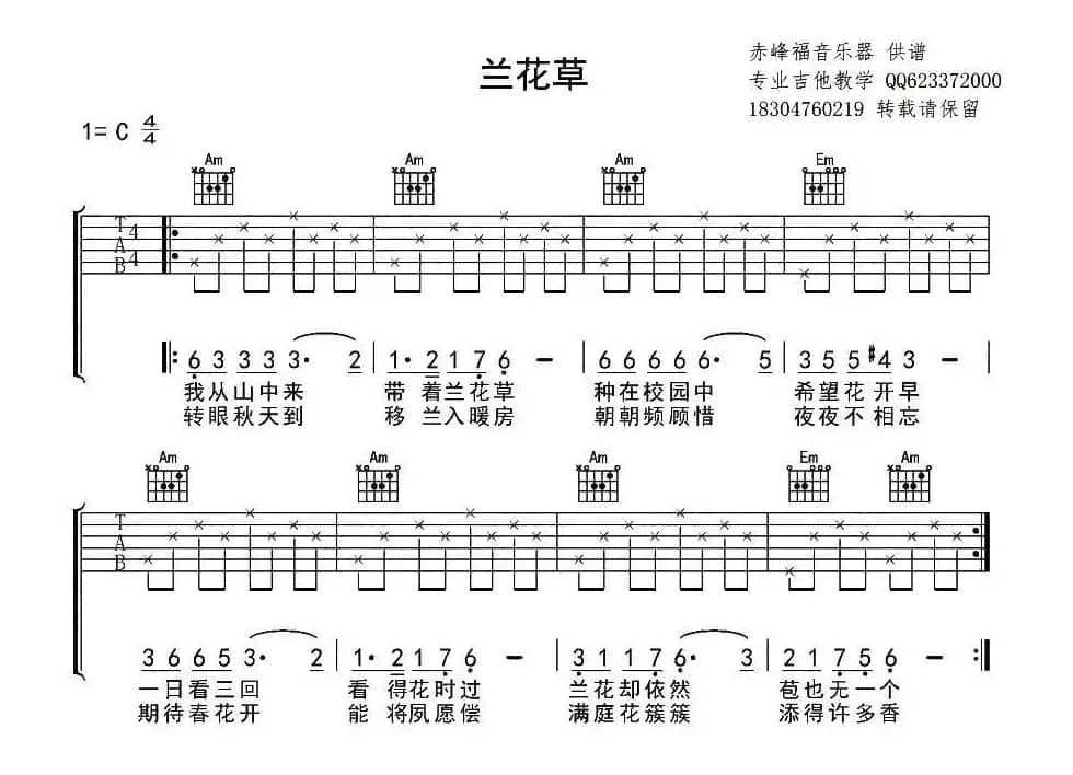 兰花草（7个版本）