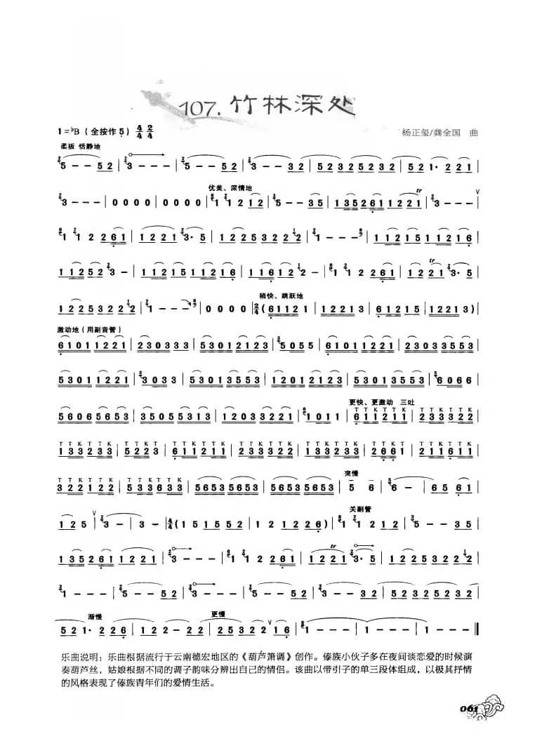 葫芦丝曲精选：竹林深处