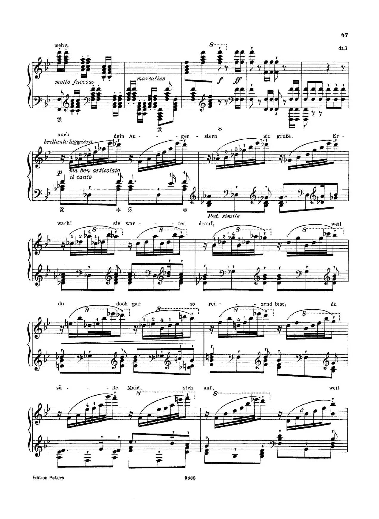 Standchen von Shakespeare （听、听，云雀）