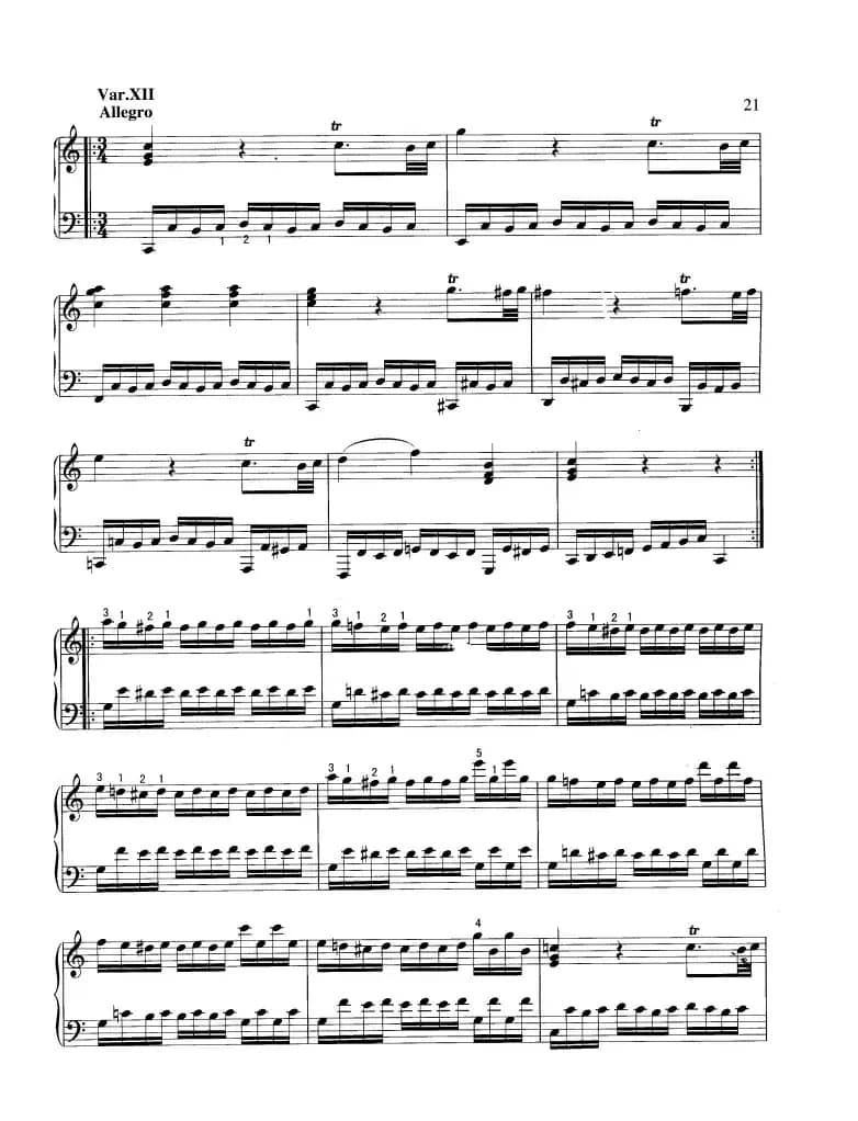 “星星”变奏曲