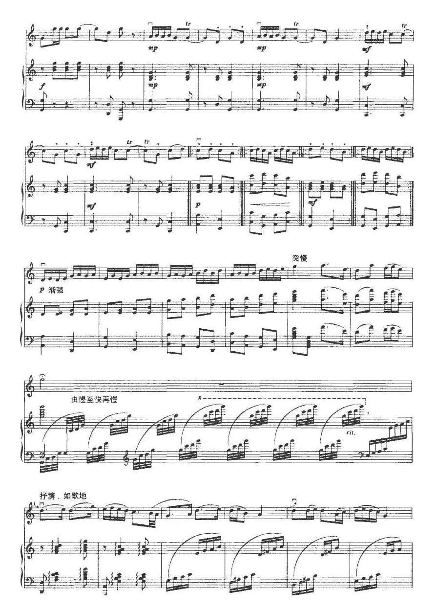 珠江情怀（二胡+钢琴伴奏）