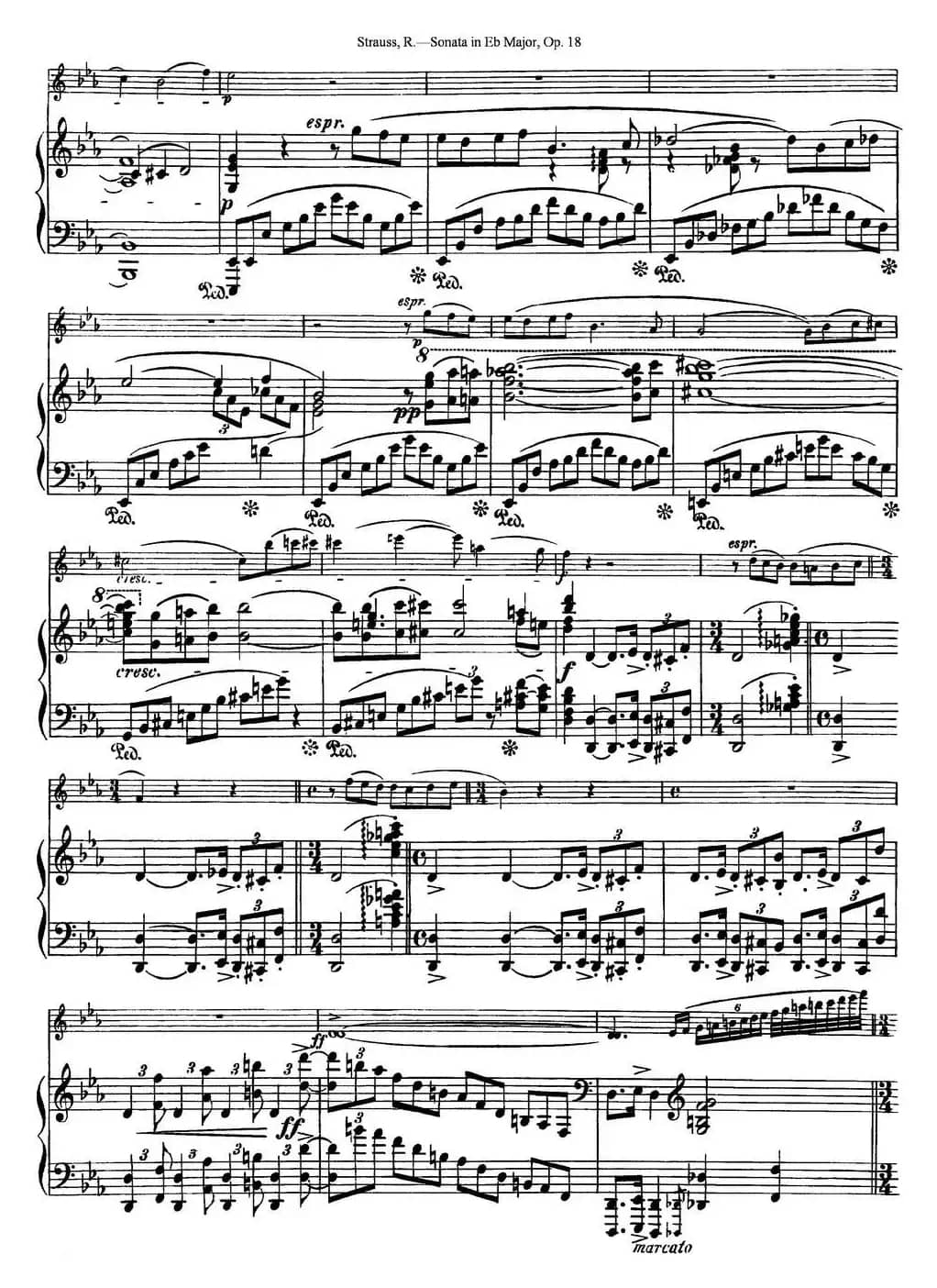 Violin Sonata in Eb Major Op.18（小提琴+钢琴伴奏）