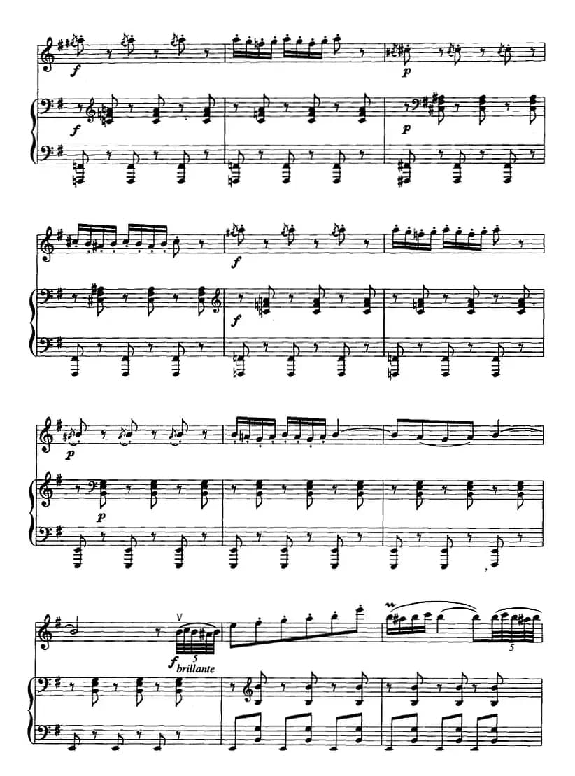 卡门主题幻想曲（二胡+钢琴伴奏）