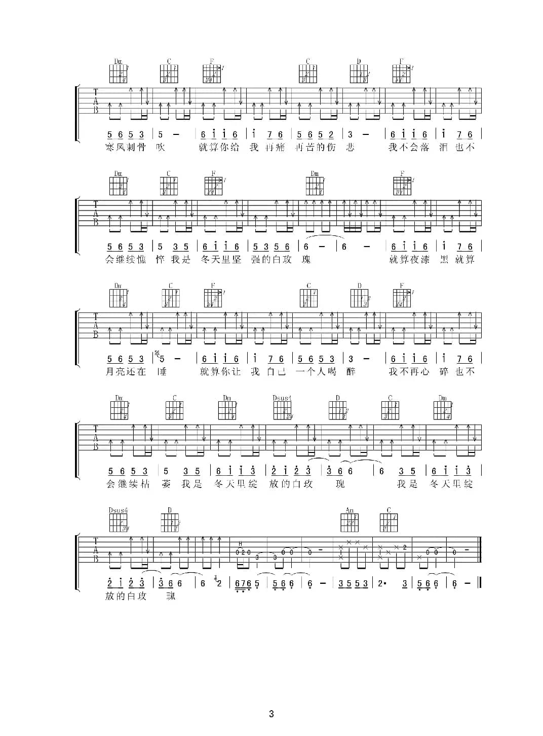 冬天里的白玫瑰