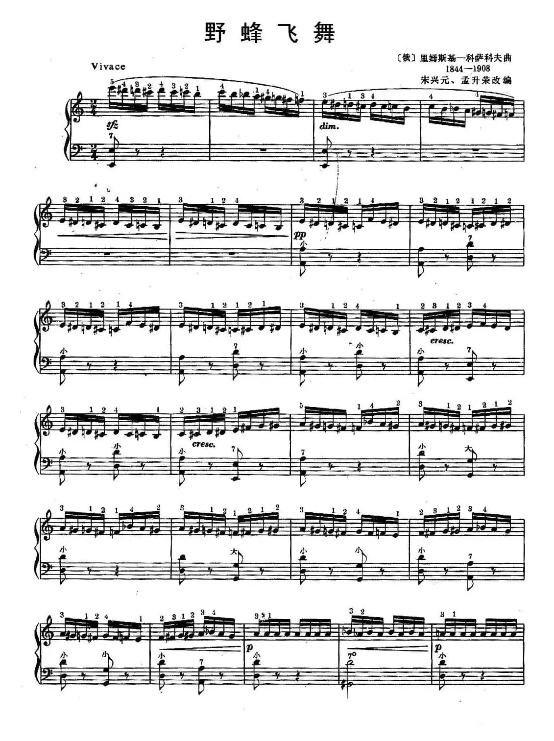 野蜂飞舞（宋兴元改编版）