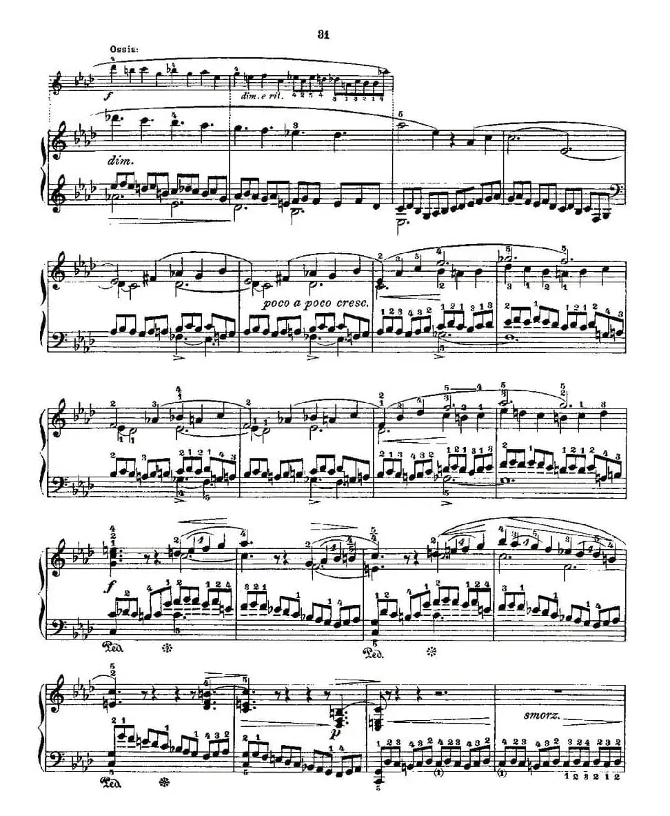 肖邦《练习曲》Fr.Chopin Op.25 No2-1