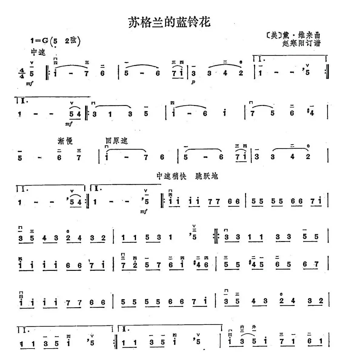 苏格兰的蓝铃花