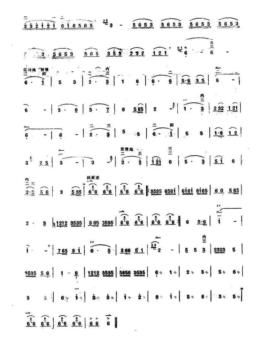 草原上的红卫兵见到了毛主席