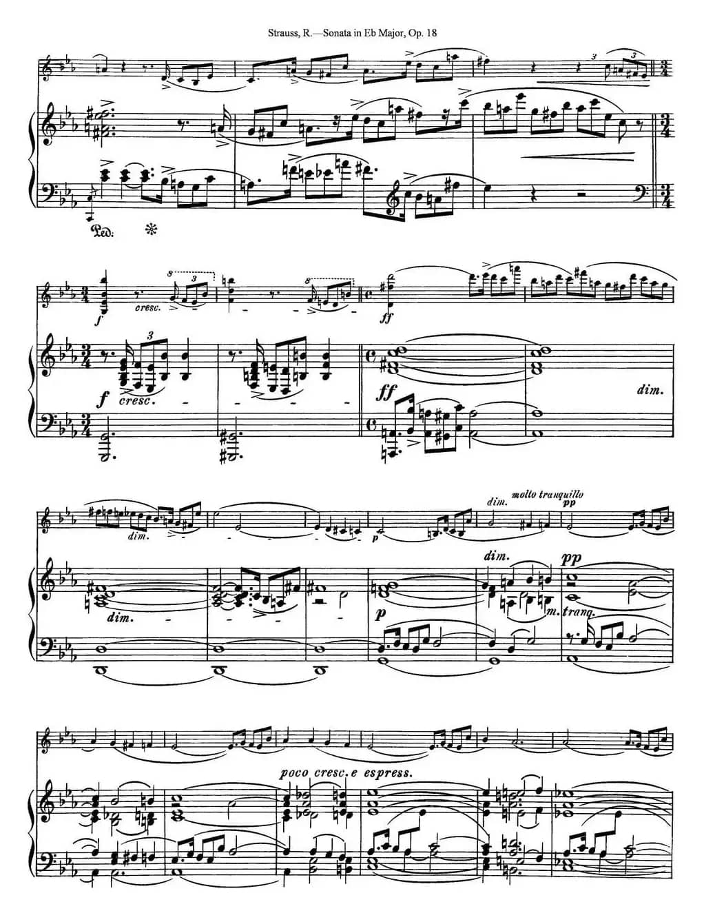 Violin Sonata in Eb Major Op.18（小提琴+钢琴伴奏）