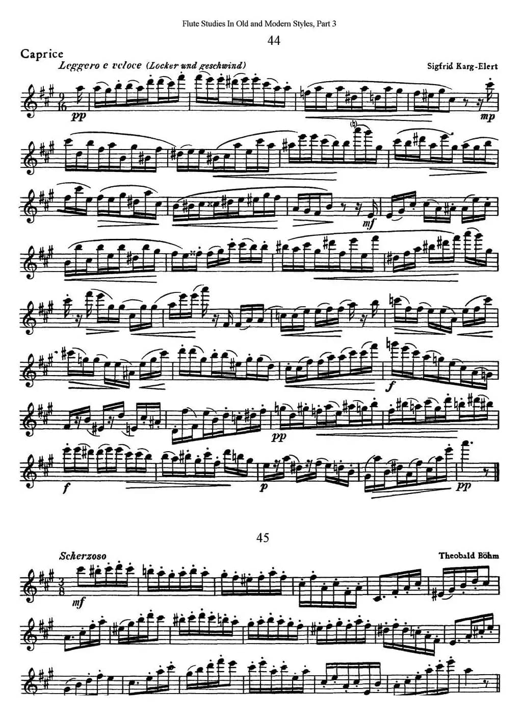 斯勒新老风格长笛练习重奏曲（第三部分）（NO.44-NO.45）