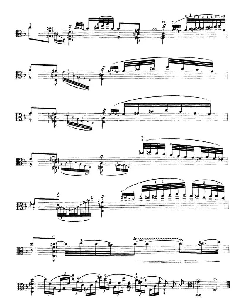 变音体系幻想曲（中提琴）