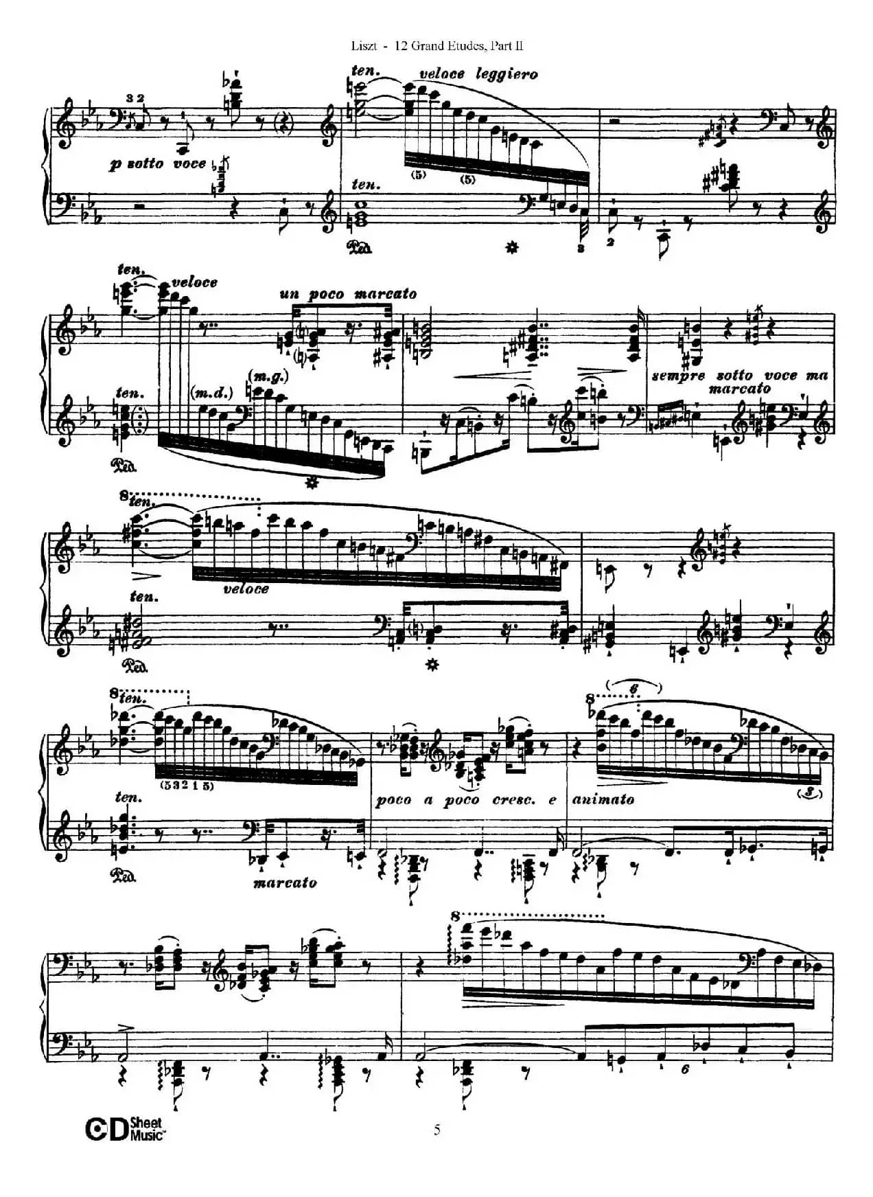12 Grand Etudes S.137（12首华丽的练习曲·7）