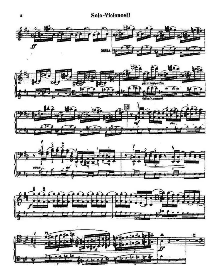 CELLO CONCERTO in B minor（大提琴）