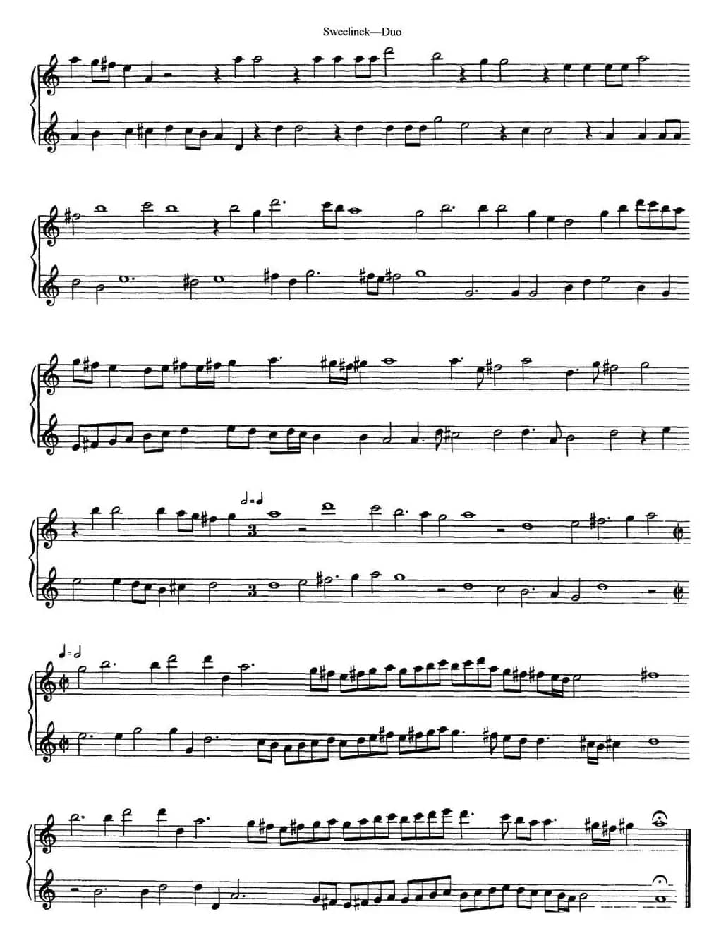 斯威利克长笛二重奏