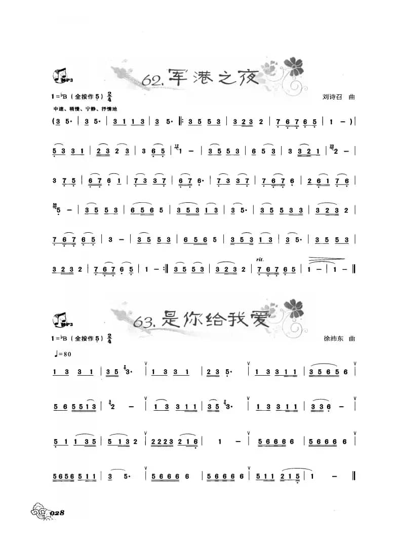 葫芦丝曲精选：军港之夜 是你给我爱