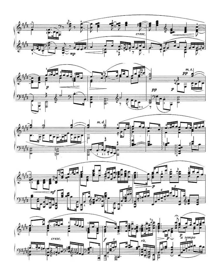 二泉映月（储望华改编版）