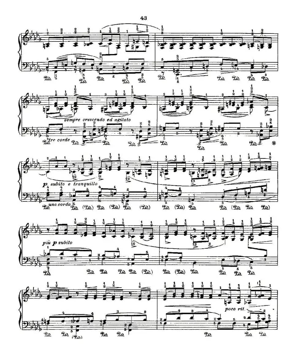 肖邦《练习曲》Fr.Chopin No 2-2