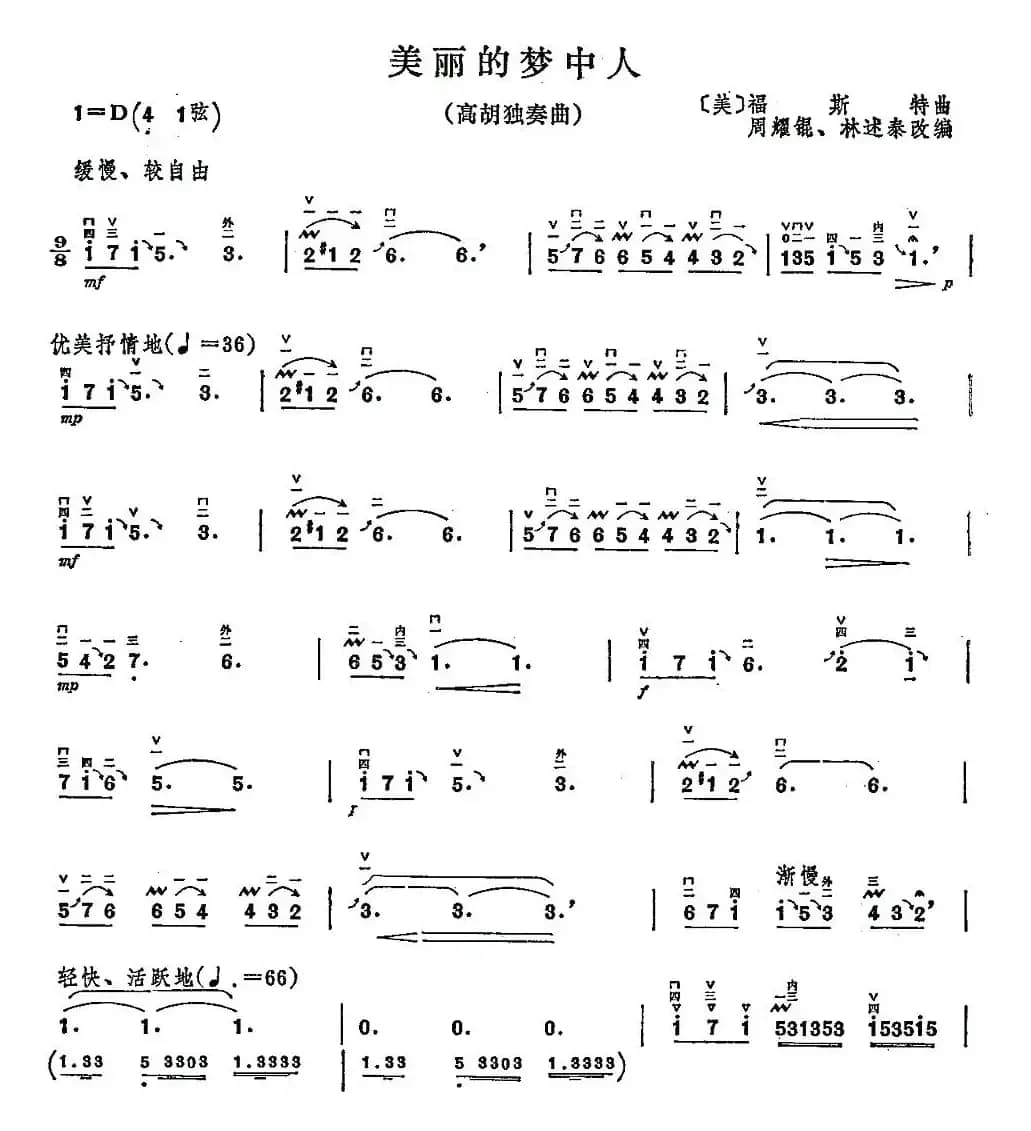 美丽的梦中人（高胡独奏）