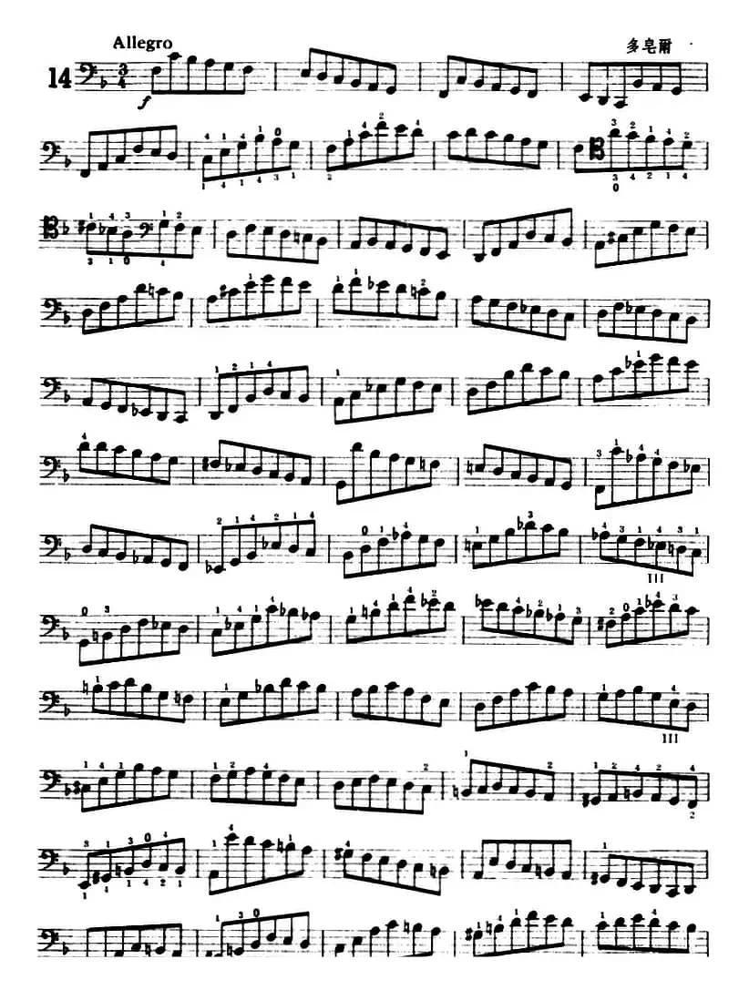 鲍斯特列姆大提琴练习曲（14-15）