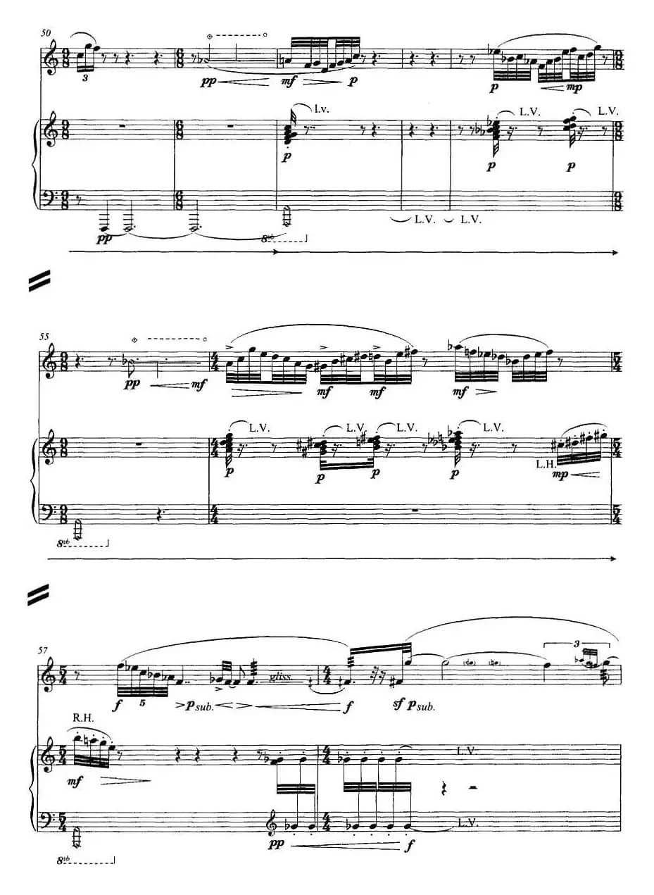 翔舞于无极之野（竹笛+钢琴）