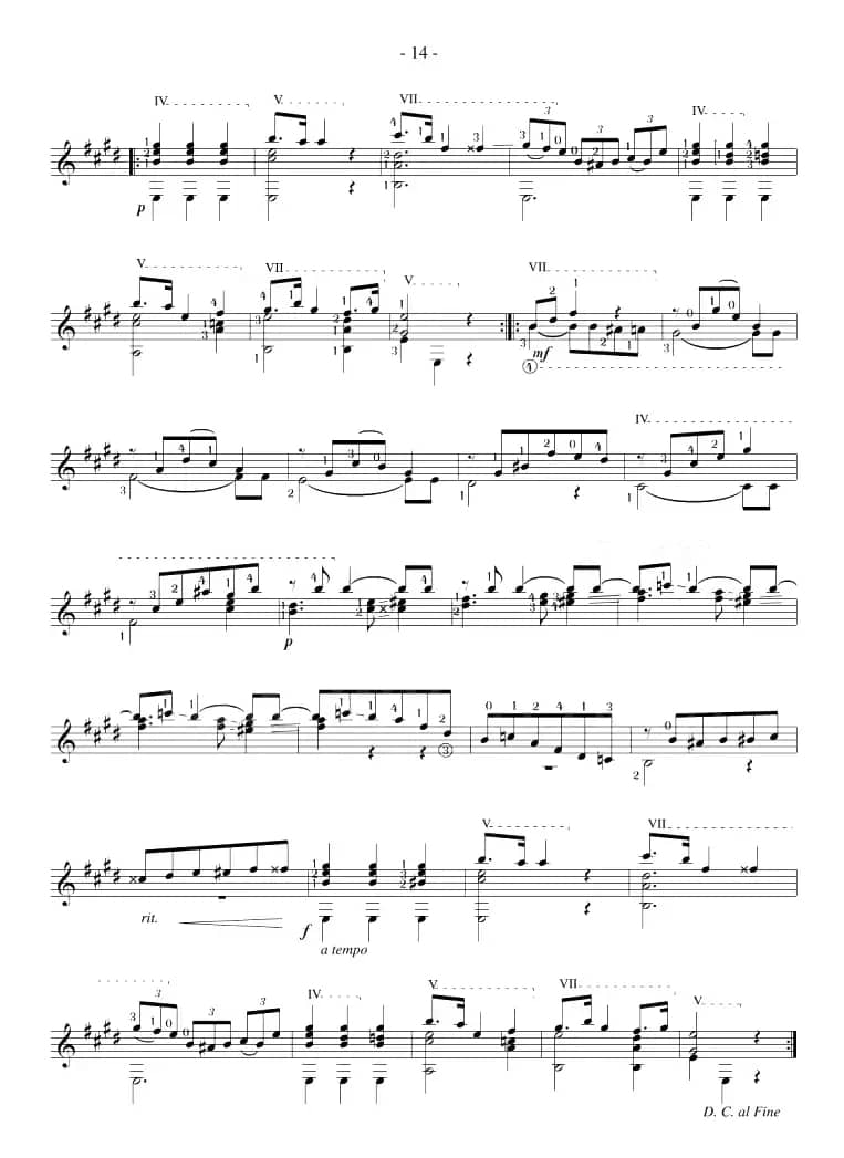 Napoleon Coste《25 Studies,Op.38》（STUDY 7）