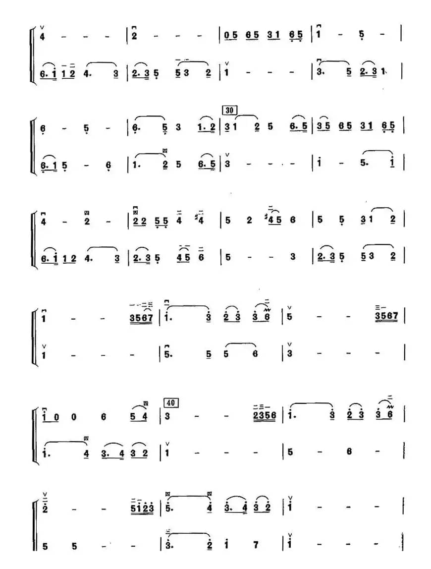 琴情（二胡二重奏）