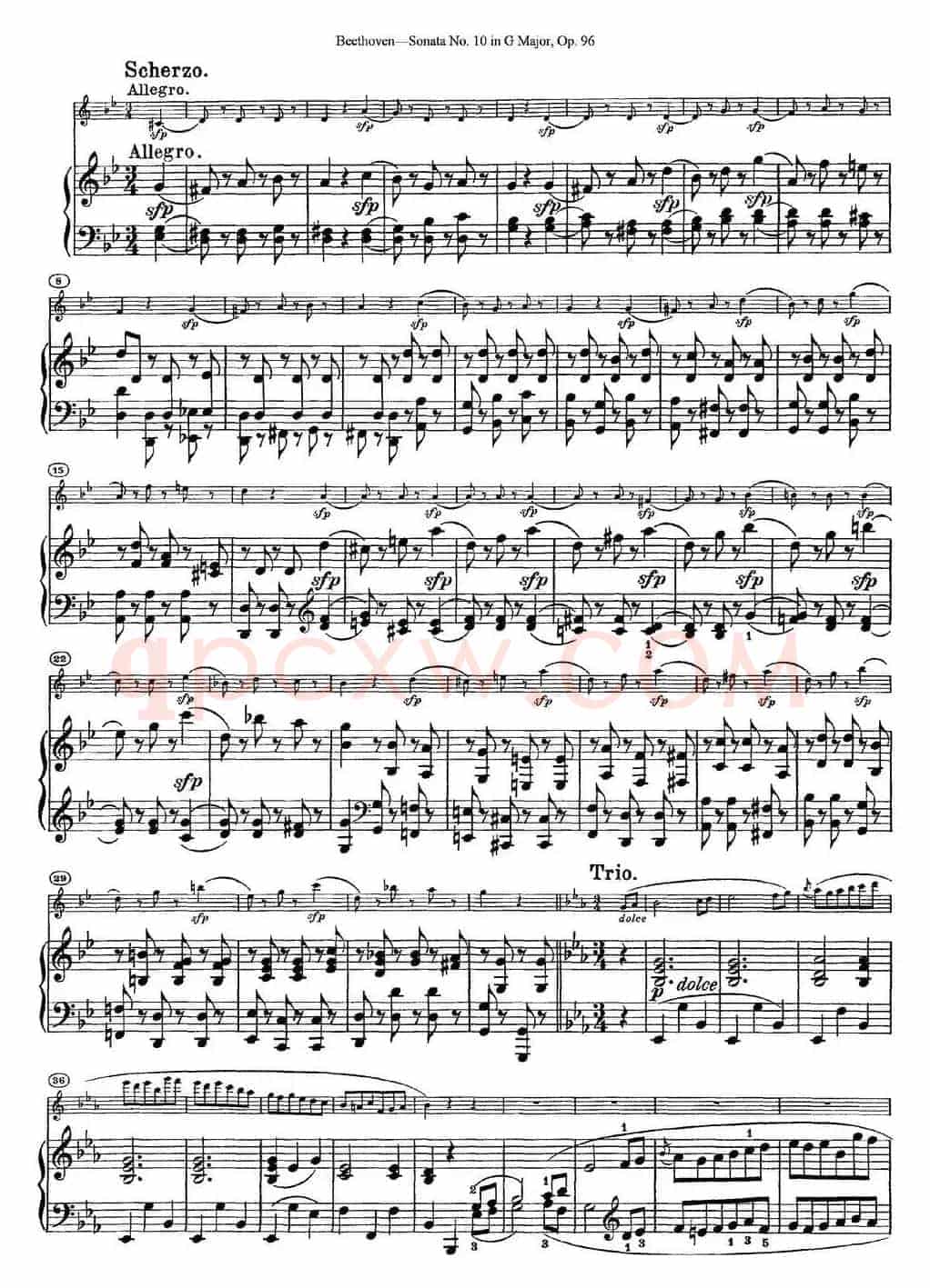 Violin Sonata No.10 in G Major Op.96（小提琴+钢琴伴奏）