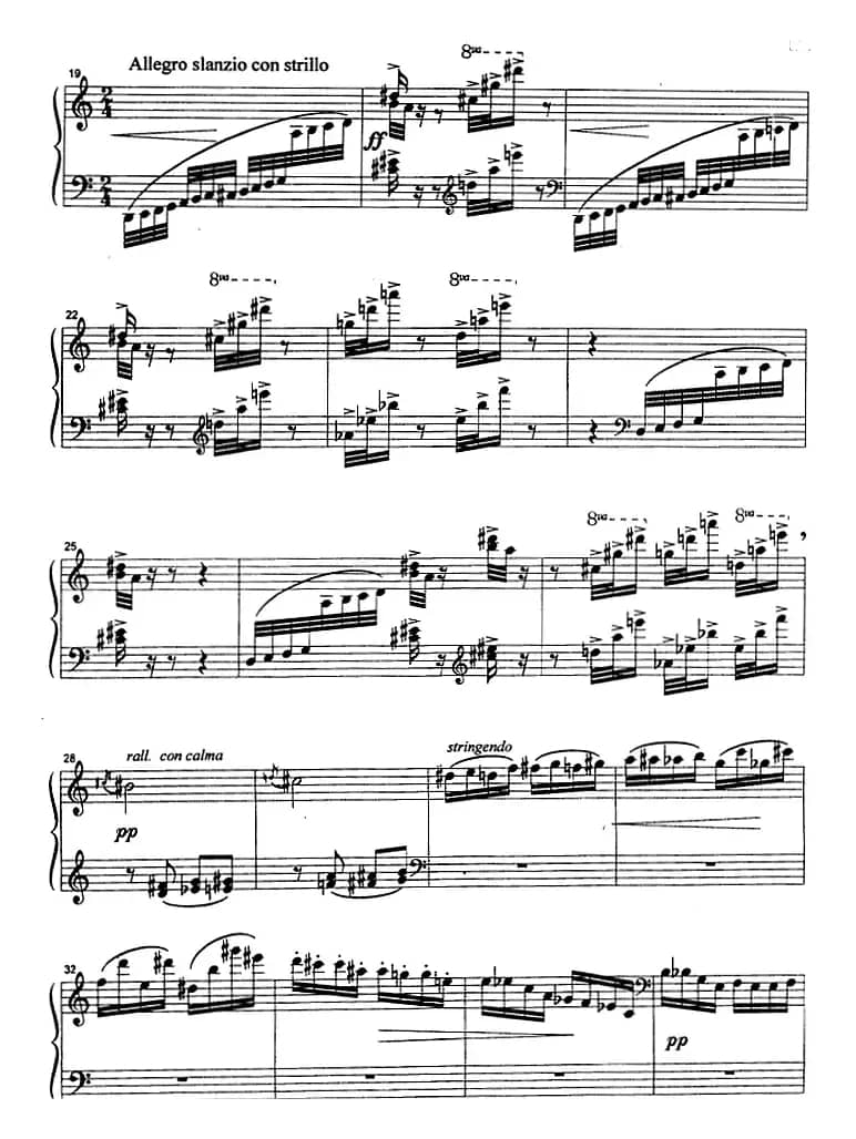 克劳斯的鸟（猫头鹰）