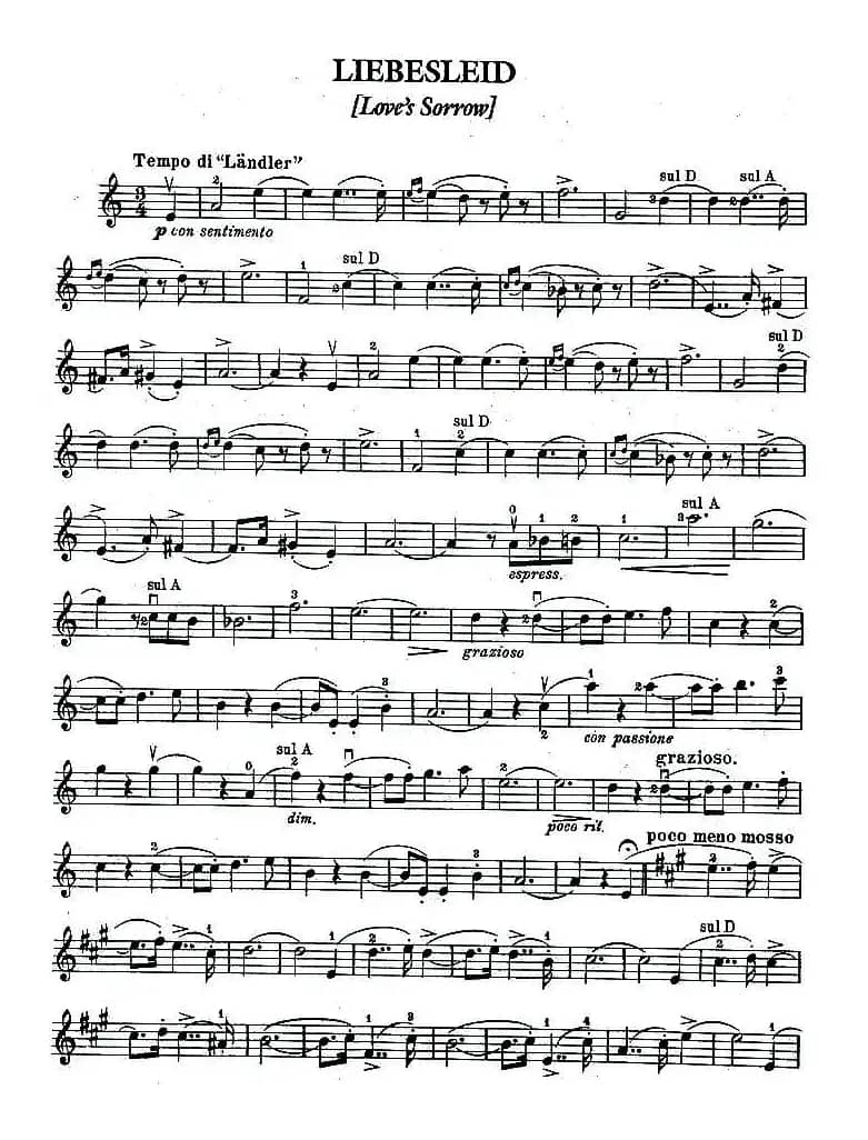 LIEBESLEID（爱的忧伤 爱之悲）