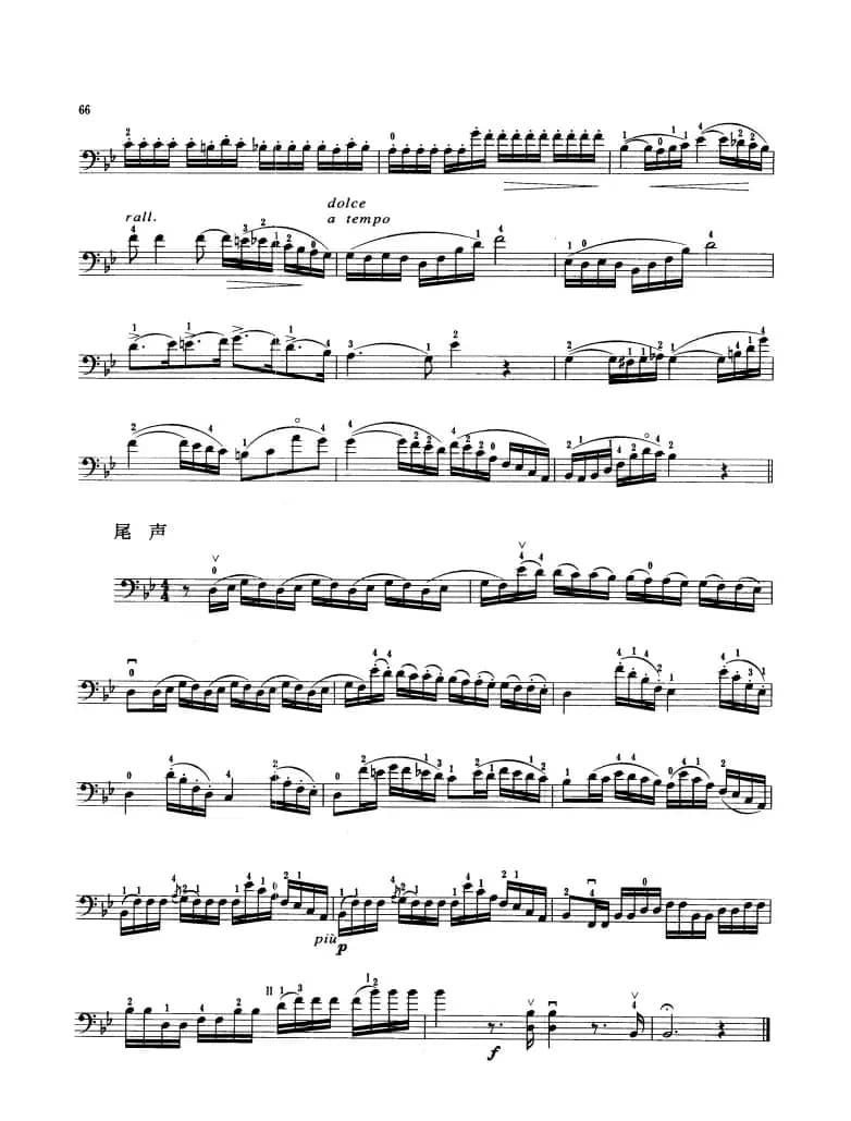 帕奇尼主题与变奏 （大提琴）