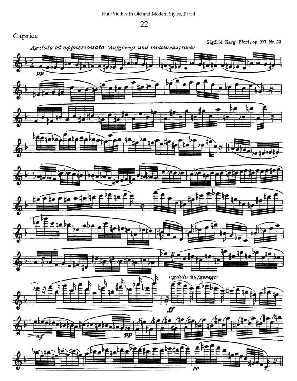 斯勒新老风格长笛练习重奏曲（第四部分）（NO.22）