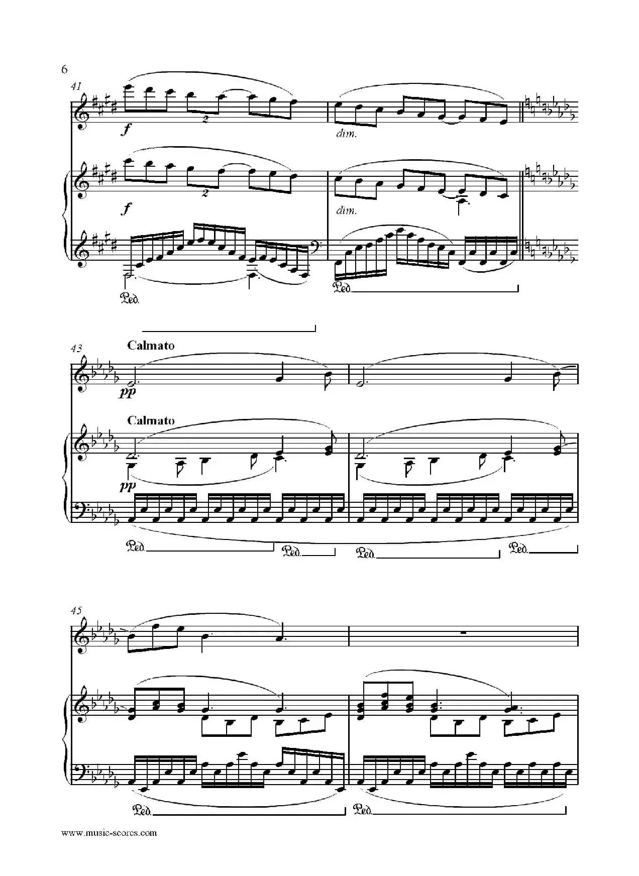 Clair de lune（长笛+钢琴伴奏）