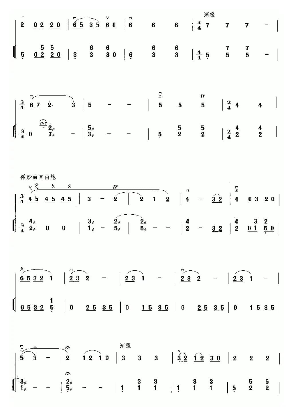 雨后春光（二胡独奏+扬琴伴奏）