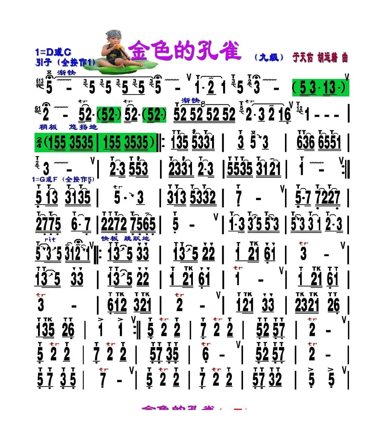 金色的孔雀 （刘慧淑制谱版）