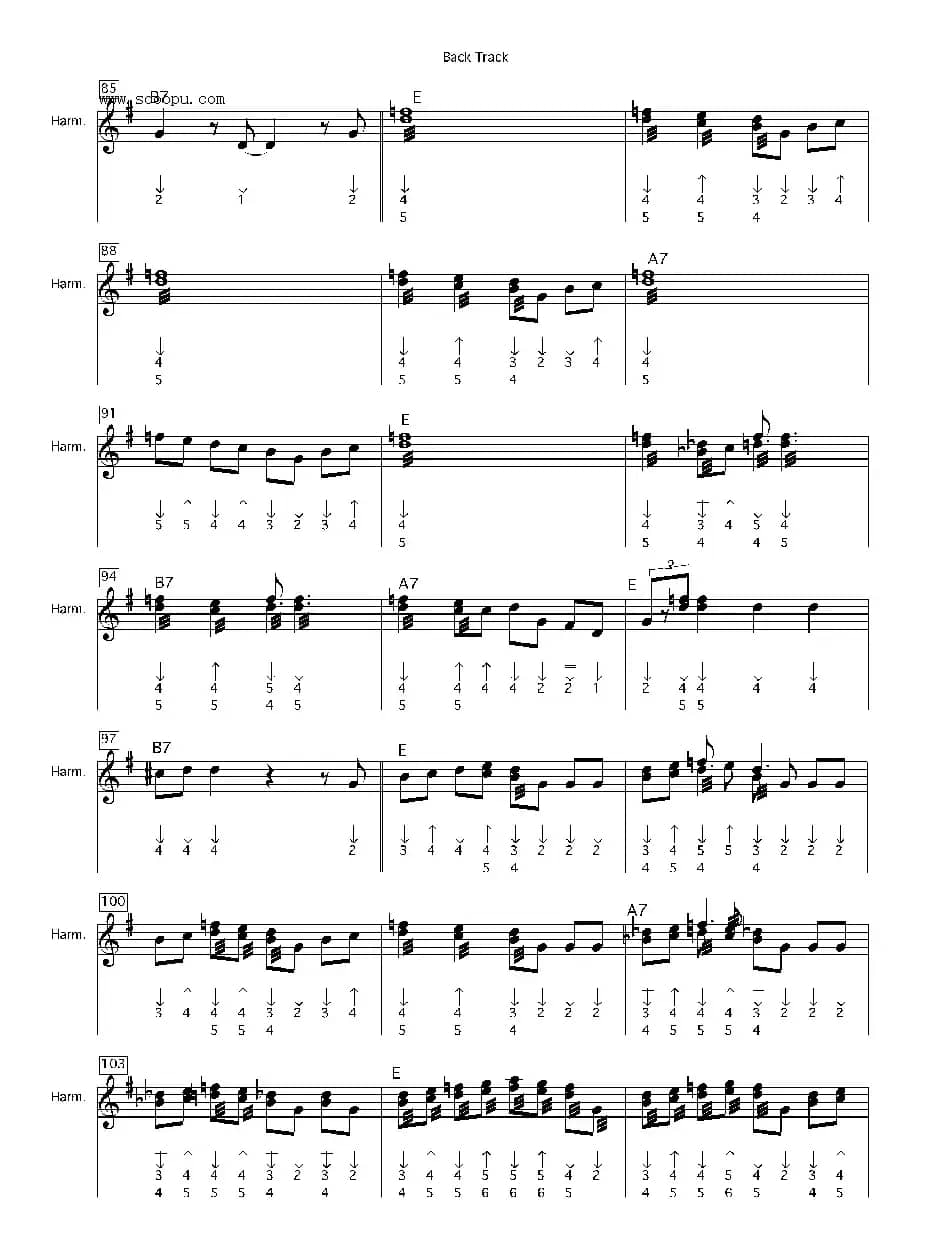 back track（布鲁斯）