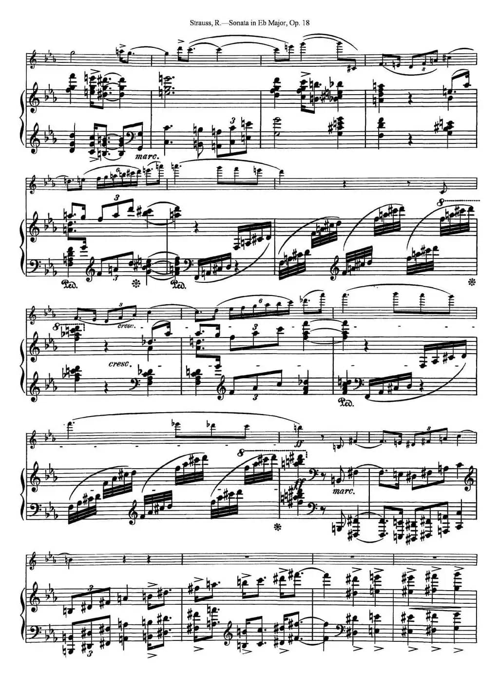 Violin Sonata in Eb Major Op.18（小提琴+钢琴伴奏）