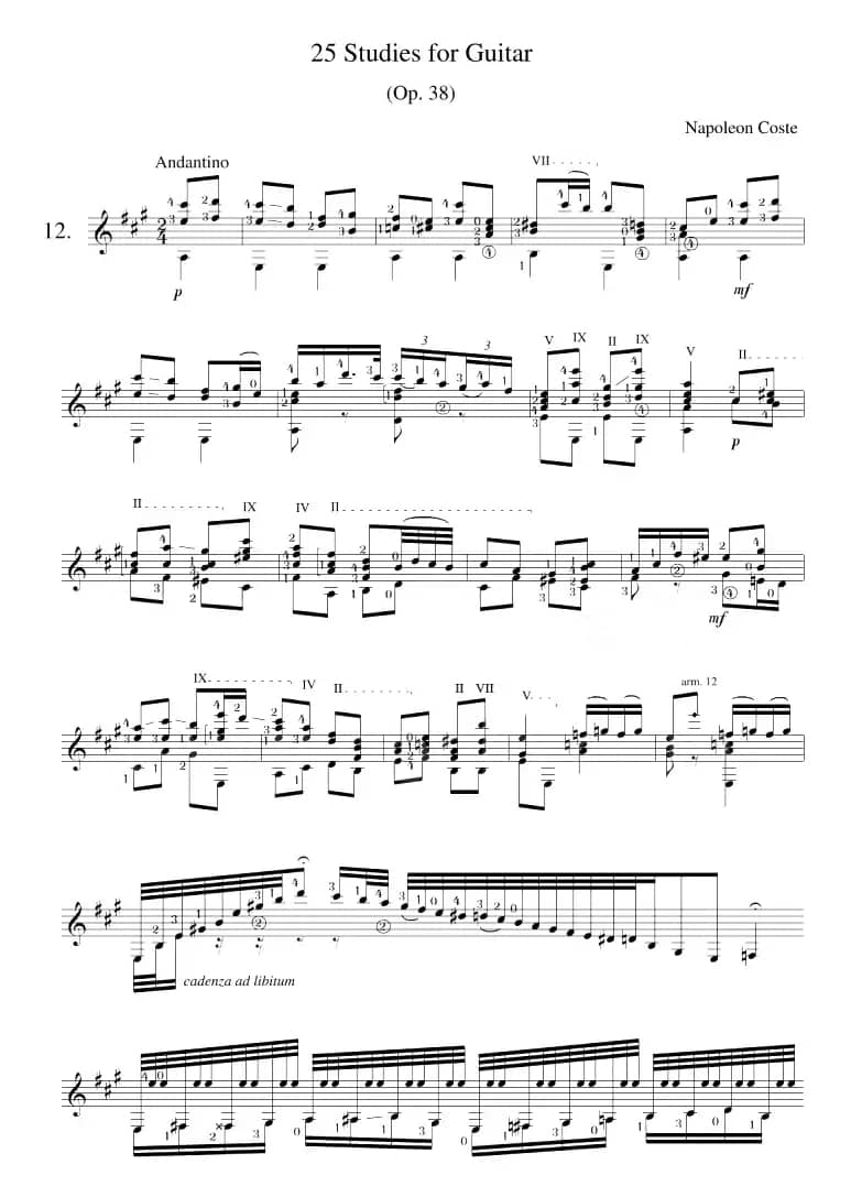 Napoleon Coste《25 Studies,Op.38》（STUDY 12）