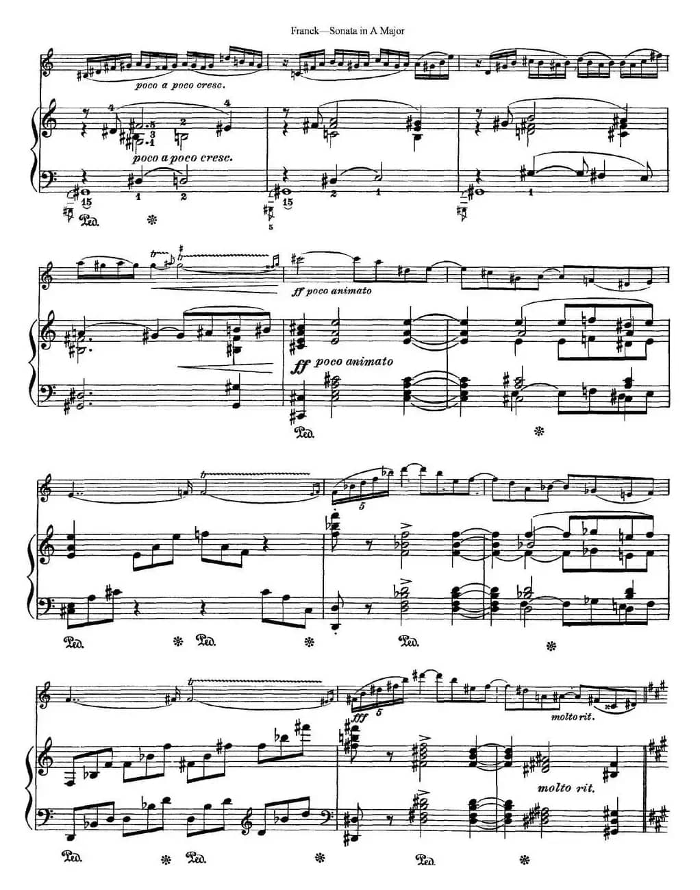 Franck Sonata in A Major（小提琴+钢琴伴奏）