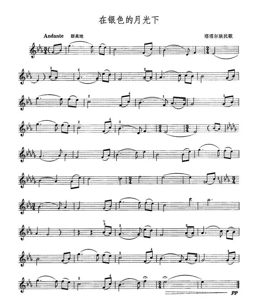 在银色的月光下