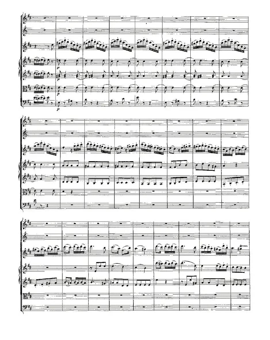 Concerto in D for Flute, K.314（D大调长笛协奏曲）